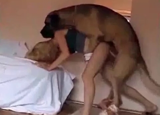 Awesome pervert is playing with a dog's dick