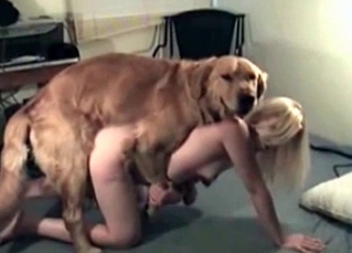 Sex lady is banging a dog