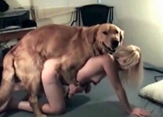 Sex lady is banging a dog