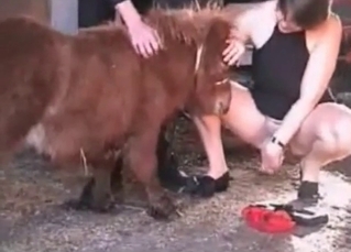 Small horse is banging a lady
