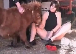 Small horse is banging a lady