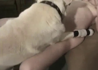 White dog is trying to fuck my sister