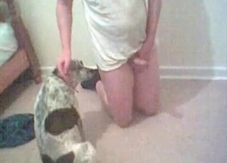 This guy is obsessed with animal sex