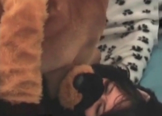Lustful doggy is pleasing a model