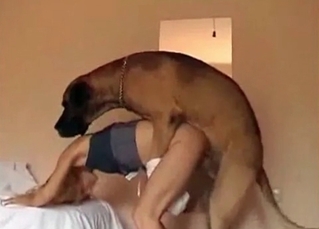 Awesome pervert is playing with a dog's dick