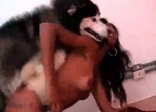 Big dog is enjoying a sex with an ebony slut