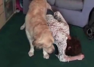 Sensual doggy is banging its owner hard