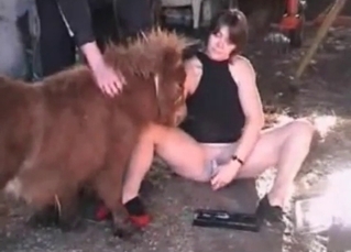 Small horse is banging a lady