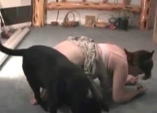 Trained puppy is getting punished passionately