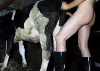 Drilling my lovely cow in doggy style pose