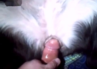 Close-up POV penetration right here