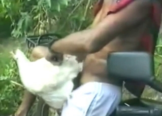 Crazy outdoor porn session with a very nice animal