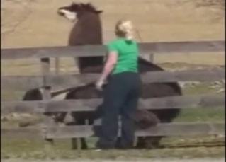 Nice farm animals have nasty bestiality sex