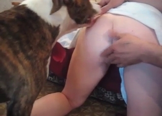 Homemade zoo sex action with my trained doggy