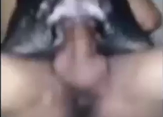 Do not attempt this kinda dog fucking at home