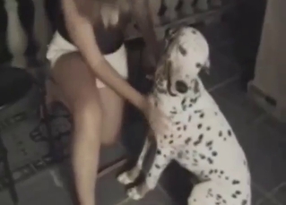 Blonde is happy to let this Dalmatian fuck her