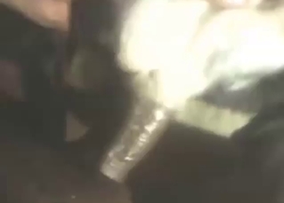 Dude fucks a black dog sideways to make it his
