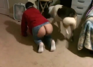 Zoo XXX with a slutty married lady fucking