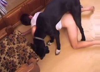 Doggystyle fuck for a gay dude who gapes