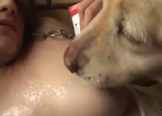 Japanese zoo sex with boobs getting licked