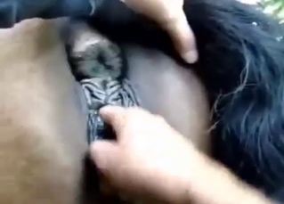 Beast lets out a cry while getting fisted hard