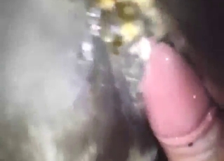 Black animal is going to get fucked from behind