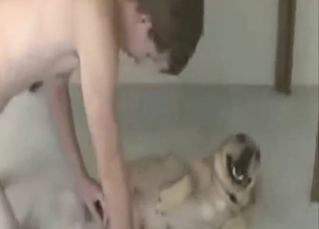 Sexed-up beast is going to get fucked silly