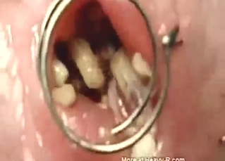 Something like zoo sex with worms in his cock