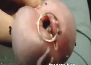 Something like zoo sex with worms in his cock