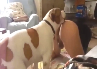 A fucking sexy dog is going to claim that hole