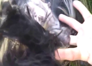 Bitch-ass doggo gets fingered up close today