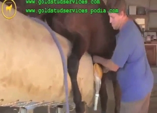 Mother's Day fuck with two very sexy horses