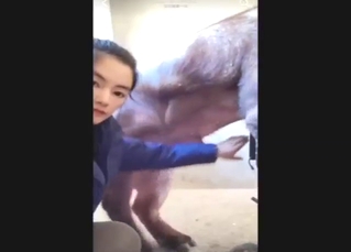 Healthy amount of pig pleasure for a Chinese gal