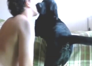 Zoo porn movie with a guy who licks dog ass