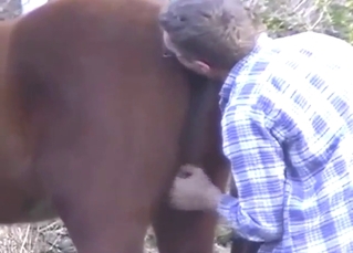 Zoophile porn shows a kinky guy fucking a mare