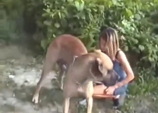 Sexy zoo XXX with a dog loving teen that fucks