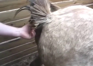 True passion with a sexy beast getting off