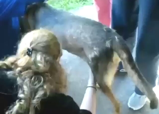 Blond-haired zoophile jerks off a nice dog too