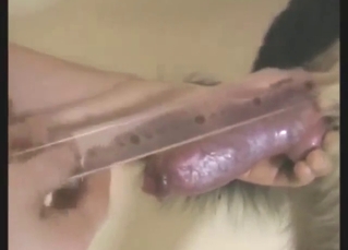 Zoo porn with a nice cock getting jacked off