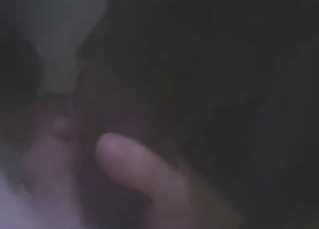 Sexy existence with a dog sucking that dick