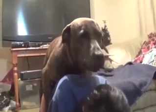 Skinny MILF getting fucked by a brown mutt