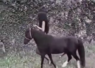 Horse fuck movie with a Latina who cums hard