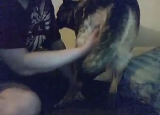 Fingering in a bestiality sex scene with moans