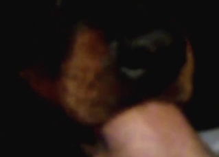 Dude is lucky to have a dog like that sucking him