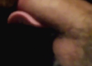 Dude is lucky to have a dog like that sucking him