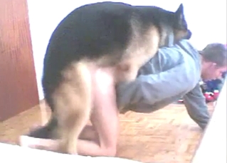 Bestiality porn with a young guy and his gay dog