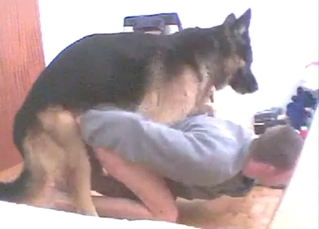 Bestiality porn with a young guy and his gay dog