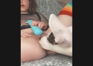 Live cunnilingus and toy play from a dog's whore