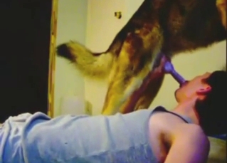 Guy records himself sucking off that hung dog