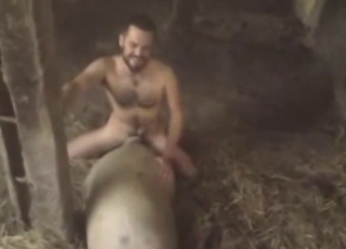 Naked dude fucking a farm animal in the barn